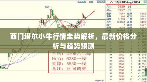 西门塔尔小牛行情走势解析，最新价格分析与趋势预测