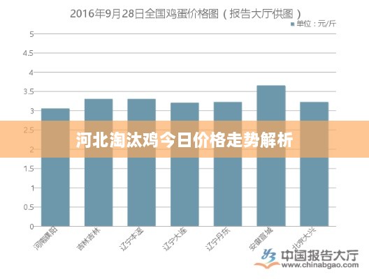 河北淘汰鸡今日价格走势解析