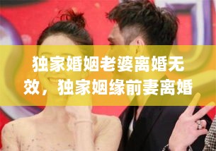 独家婚姻老婆离婚无效，独家姻缘前妻离婚无效 小说 