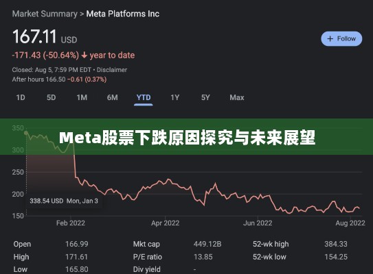 Meta股票下跌原因探究与未来展望