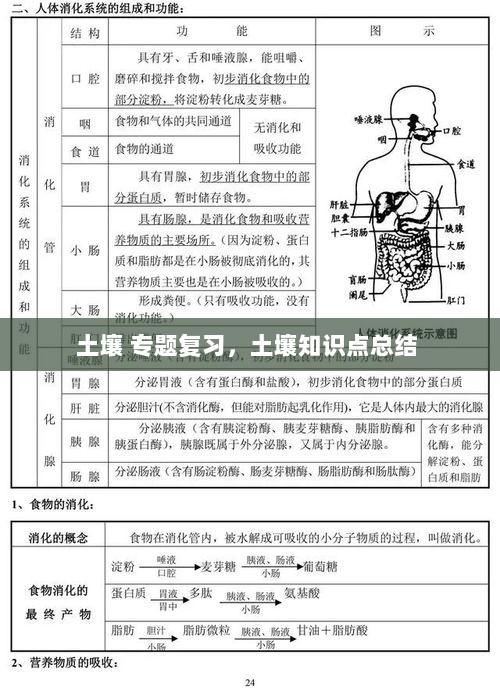 土壤 专题复习，土壤知识点总结 