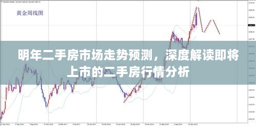 明年二手房市场走势预测，深度解读即将上市的二手房行情分析