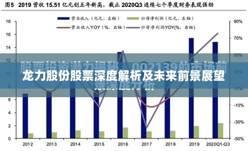 龙力股份股票深度解析及未来前景展望