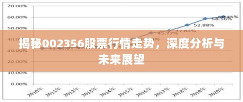 揭秘002356股票行情走势，深度分析与未来展望