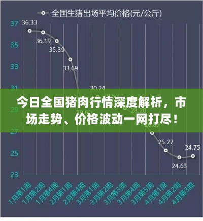 今日全国猪肉行情深度解析，市场走势、价格波动一网打尽！