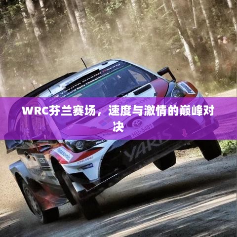 WRC芬兰赛场，速度与激情的巅峰对决