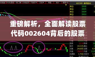 重磅解析，全面解读股票代码002604背后的股票趋势与价值