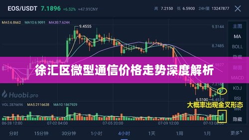 徐汇区微型通信价格走势深度解析