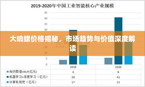 大响螺价格揭秘，市场趋势与价值深度解读