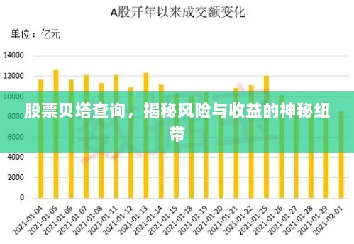 股票贝塔查询，揭秘风险与收益的神秘纽带