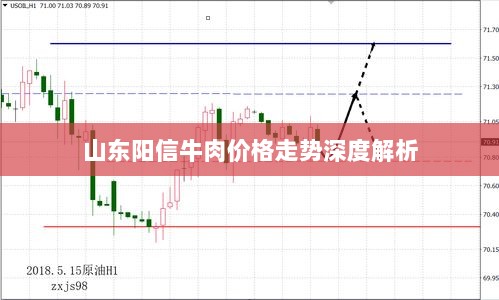 山东阳信牛肉价格走势深度解析