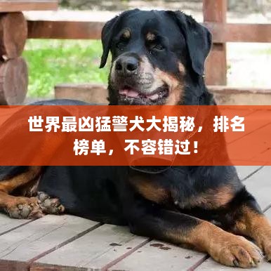 世界最凶猛警犬大揭秘，排名榜单，不容错过！