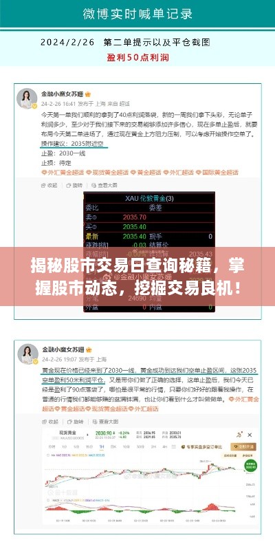 揭秘股市交易日查询秘籍，掌握股市动态，挖掘交易良机！