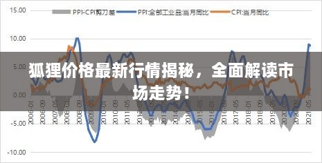 狐狸价格最新行情揭秘，全面解读市场走势！