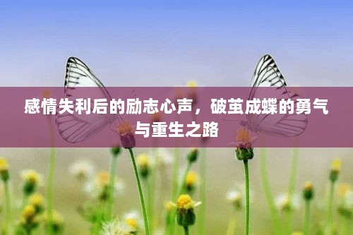 感情失利后的励志心声，破茧成蝶的勇气与重生之路