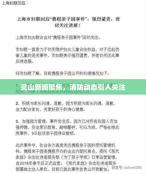 灵山新闻聚焦，消防动态引人关注