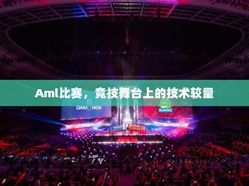 Aml比赛，竞技舞台上的技术较量