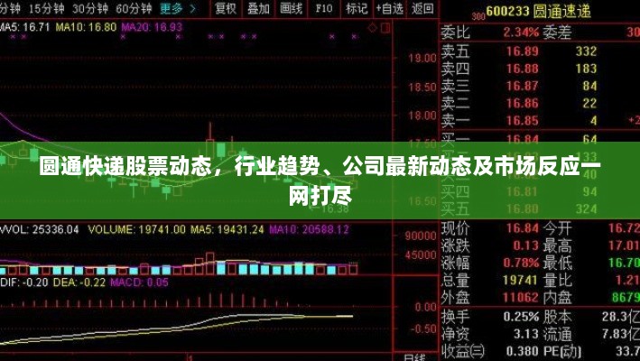 圆通快递股票动态，行业趋势、公司最新动态及市场反应一网打尽