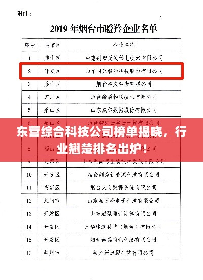 东营综合科技公司榜单揭晓，行业翘楚排名出炉！