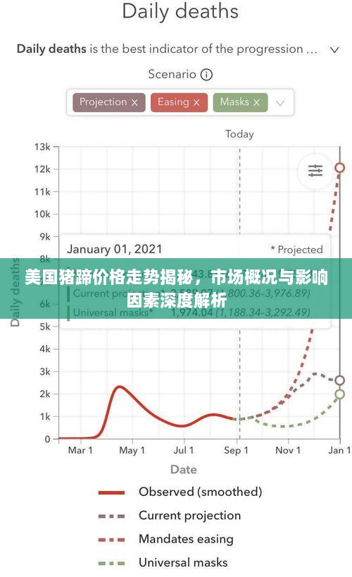 美国猪蹄价格走势揭秘，市场概况与影响因素深度解析