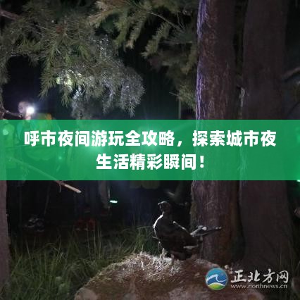 呼市夜间游玩全攻略，探索城市夜生活精彩瞬间！