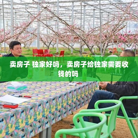 卖房子 独家好吗，卖房子给独家需要收钱的吗 