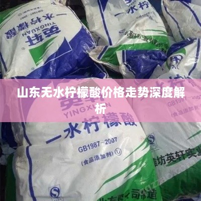 山东无水柠檬酸价格走势深度解析