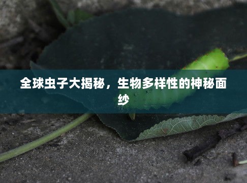 全球虫子大揭秘，生物多样性的神秘面纱