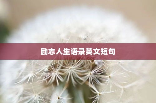 励志人生语录英文短句