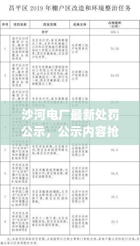 沙河电厂最新处罚公示，公示内容抢先看！