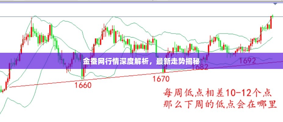 金蚕网行情深度解析，最新走势揭秘