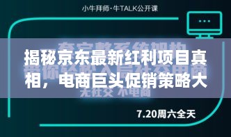 揭秘京东最新红利项目真相，电商巨头促销策略大解密！