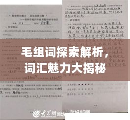 毛组词探索解析，词汇魅力大揭秘