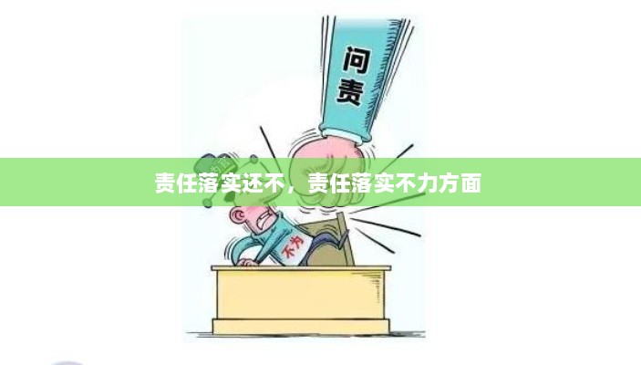 责任落实还不，责任落实不力方面 