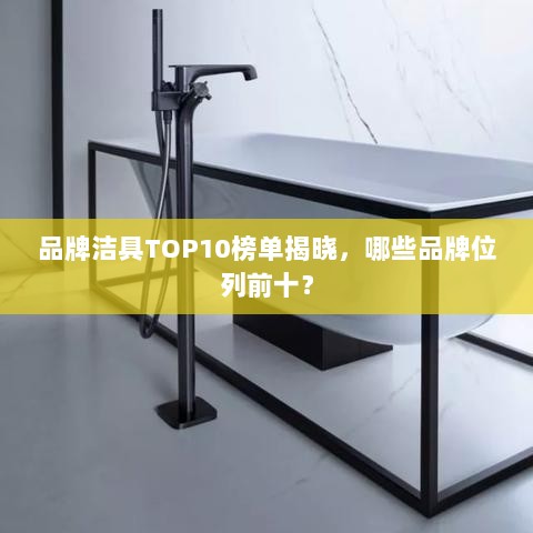 品牌洁具TOP10榜单揭晓，哪些品牌位列前十？