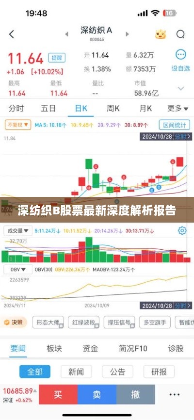 深纺织B股票最新深度解析报告