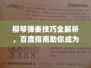 柳琴弹奏技巧全解析，百度指南助你成为高手