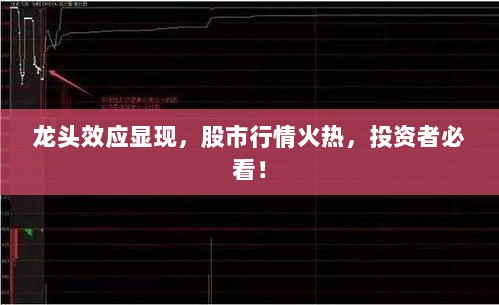 龙头效应显现，股市行情火热，投资者必看！