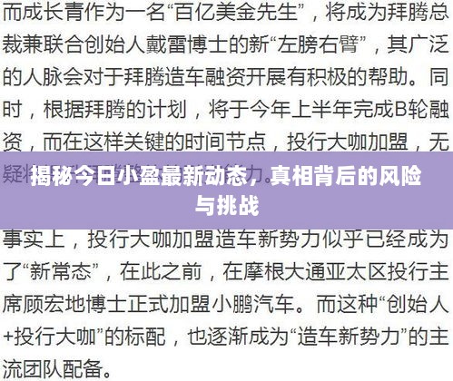 揭秘今日小盈最新动态，真相背后的风险与挑战