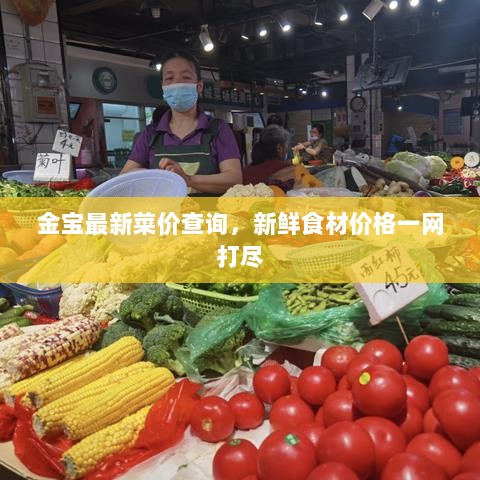 金宝最新菜价查询，新鲜食材价格一网打尽