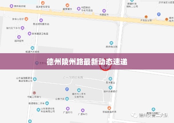 德州陵州路最新动态速递