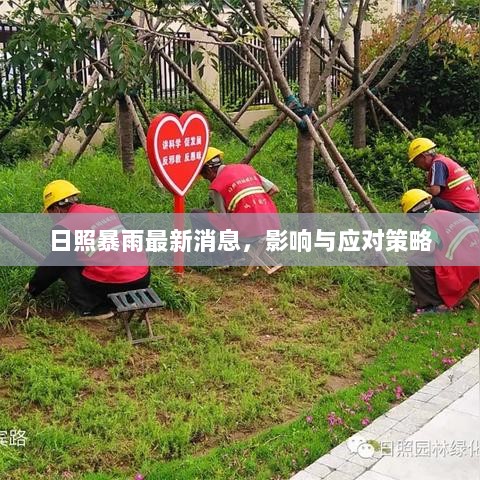 日照暴雨最新消息，影响与应对策略