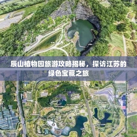 辰山植物园旅游攻略揭秘，探访江苏的绿色宝藏之旅