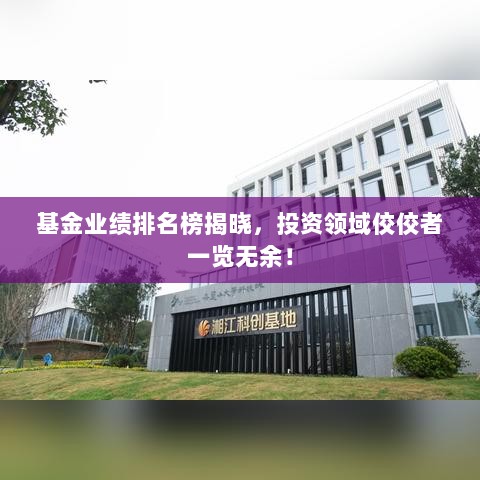 基金业绩排名榜揭晓，投资领域佼佼者一览无余！