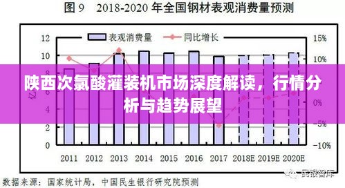 陕西次氯酸灌装机市场深度解读，行情分析与趋势展望