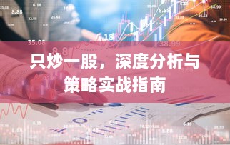 只炒一股，深度分析与策略实战指南