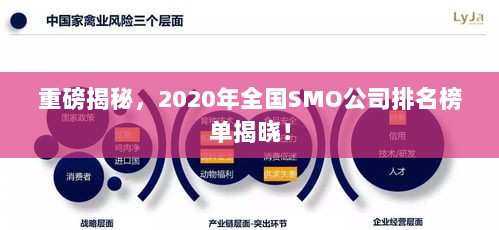 重磅揭秘，2020年全国SMO公司排名榜单揭晓！