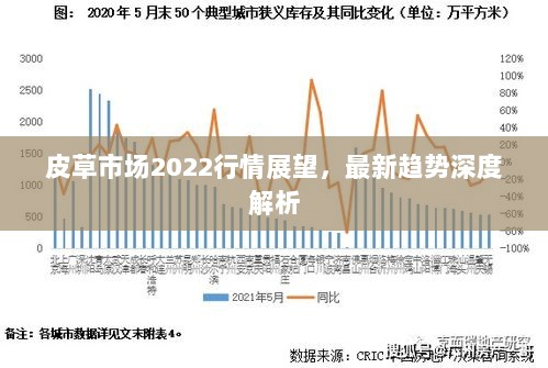 皮草市场2022行情展望，最新趋势深度解析