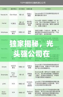 独家揭秘，光头强公司在行业中的排名及其影响力深度解析