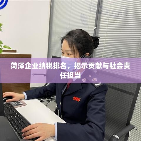 菏泽企业纳税排名，揭示贡献与社会责任担当